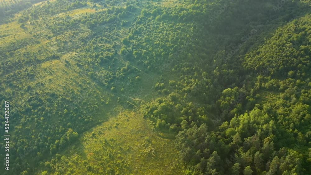 Amazing view of green meadows overgrown with bushes. UHD 4k video. Amazing view of green meadows overgrown with bushes. UHD 4k video.