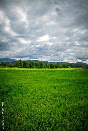 green field and dramatic sky