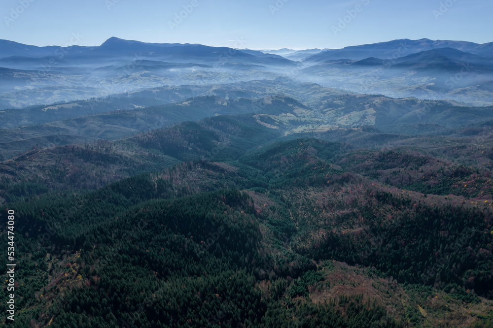 Fog over the forest, Autumn pine forest top view. Fog over the forest, Autumn pine forest top view.