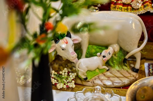 Mother Caw and baby Calf. Symbol of Mother Care. White Colors of Statue and bubbles. Green floral Decorations photo