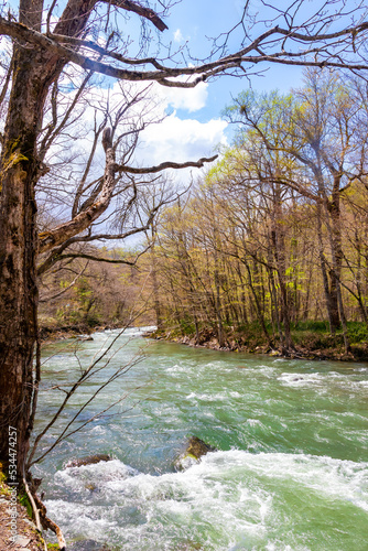 春の青森県・奥入瀬渓流で見た、流れの早い奥入瀬川と快晴の青空