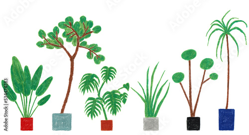 観葉植物のセット