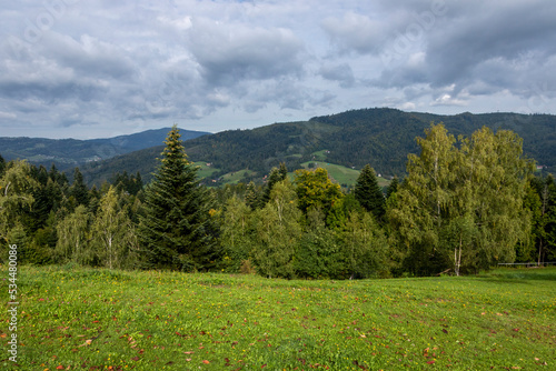Forests in the mountains at the beginning of autumn under a dramatic sky
