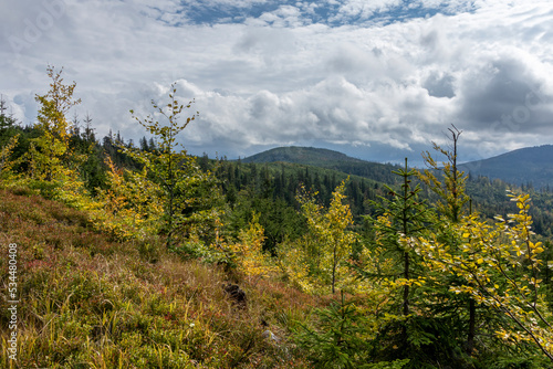 Colorful forests in the mountains at the beginning of autumn under a dramatic sky