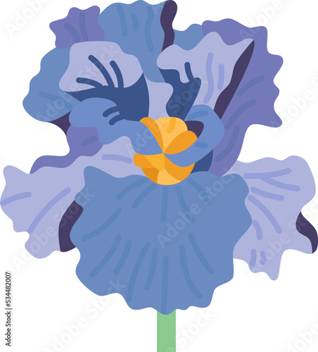 iris icon