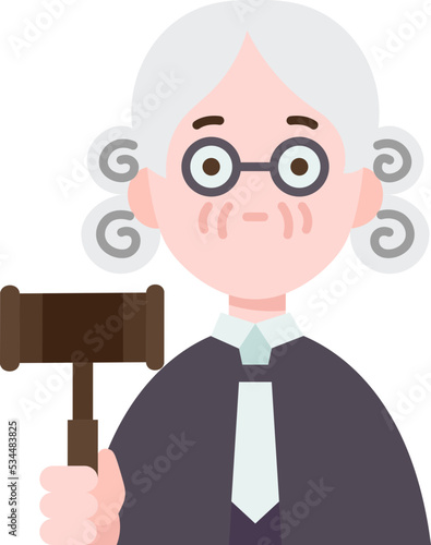 judge icon