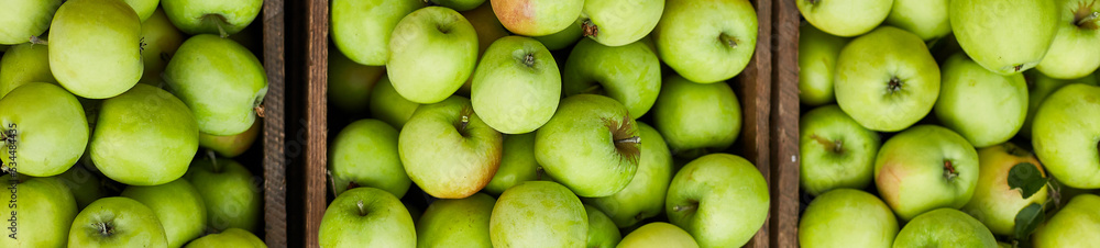 Banner Fresh green apples on the wooden boxes, harvest, space for your text, local market or supermarket, Ukraine apples. Banner Fresh green apples on the wooden boxes, harvest, space for your text, local market or supermarket, Ukraine apples.