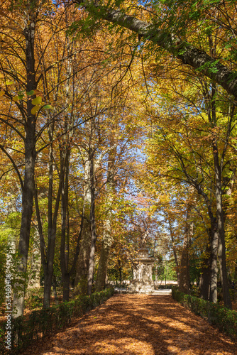 Vertical view of path with fountain in garden with autumn trees in Aranjuez  Spain