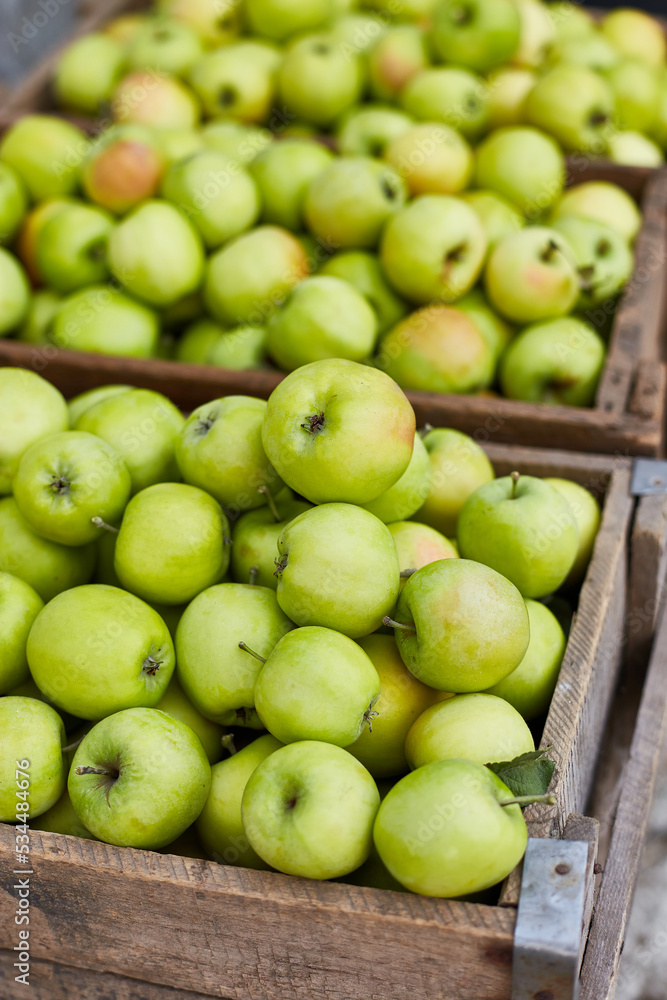 Fresh green apples on the wooden boxes, harvest, space for your text, local market or supermarket, Ukraine apples.