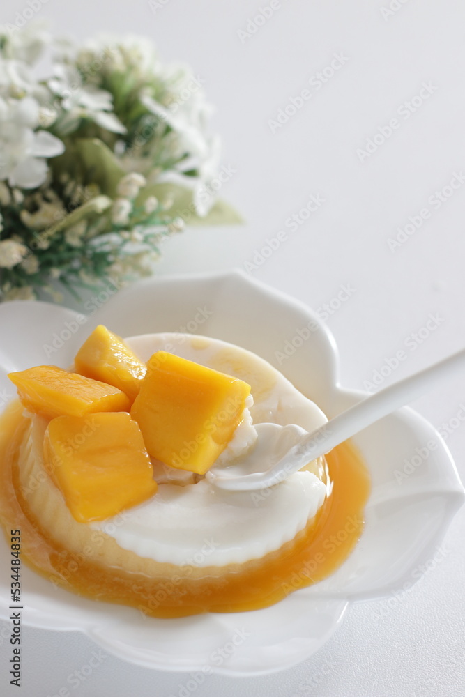 Homemade coconut milk and mango bi-color Kanten Jelly for tropical sweet food image Homemade coconut milk and mango bi-color Kanten Jelly for tropical sweet food image