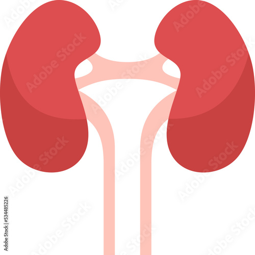 kidneys icon