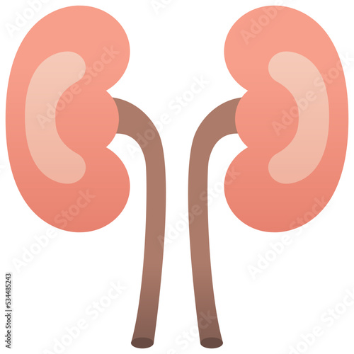 Kidneys icon