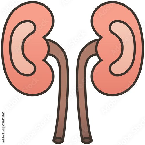 Kidneys icon