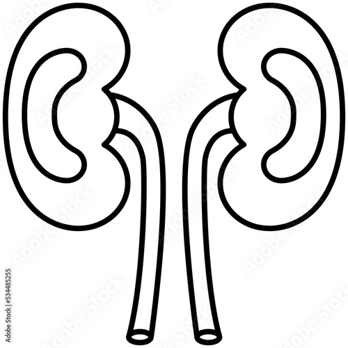 Kidneys icon