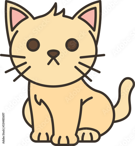 kitten icon