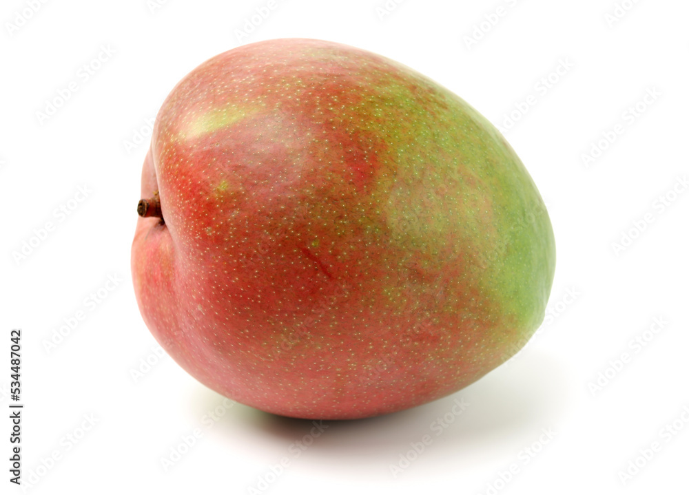 Australian Mango on a white background Australian Mango on a white background