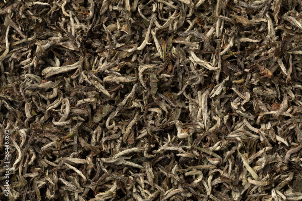 Dried Nepalese white orange tea leaves close up full frame as background Dried Nepalese white orange tea leaves close up full frame as background