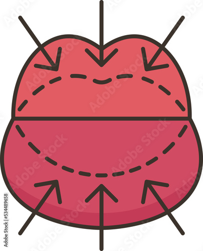 lip icon