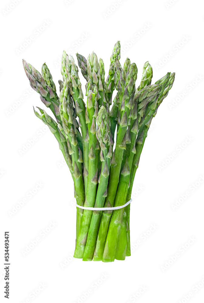 Fresh ripe green asparagus in bunch isolated on a white background. Full Depth of field. Focus stacking - obrazy, fototapety, plakaty 