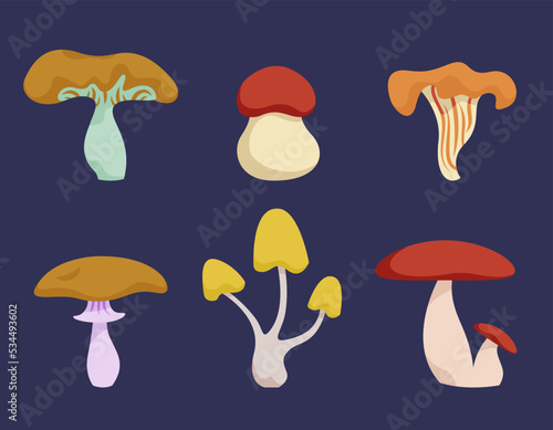 Set of different mushrooms. Nature objects in cartoon style.