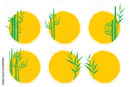 Bamboo vector. Asian plants. Illustration of Japanese and Chinese bamboo plants