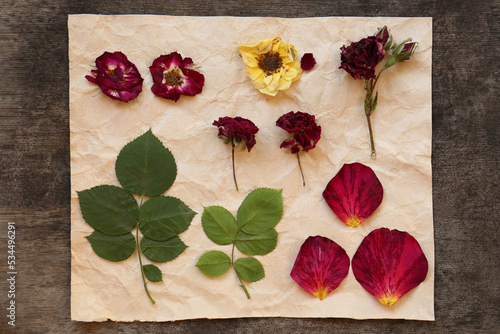 Fotografía Paper with beautiful flowers, leaves and petals prepared for drying on table, fl