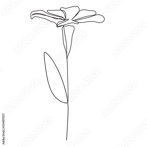 rendy Contemporary Design. Flower Simple Line Art Drawing. Floral Minimalist. modern isolated hand drawn doodle flowers. Botanical Modern Single Line. Flowers drawn by one line on a white background. photo