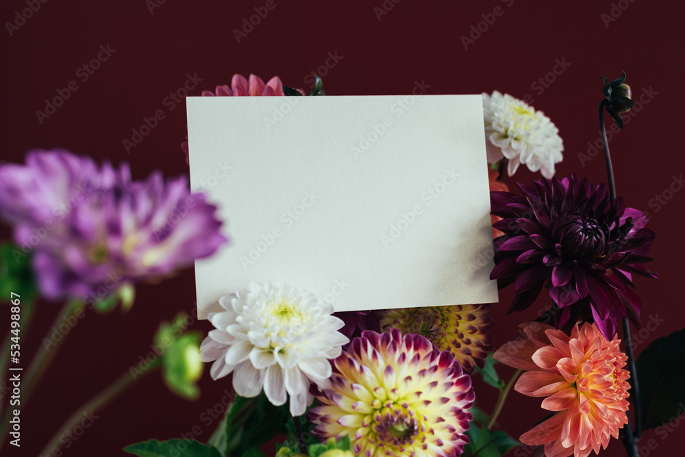 Obraz premium Beautiful dahlia background mockup with a white gift card in the middle.