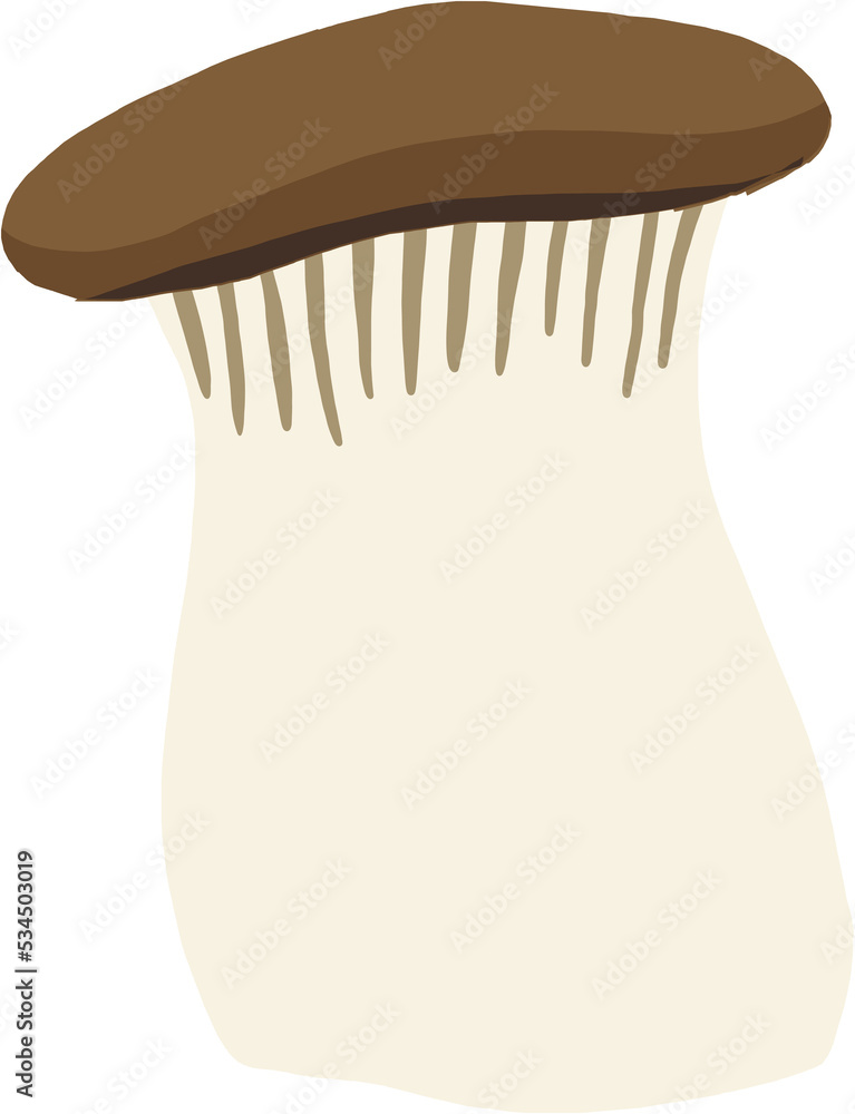 doodle freehand sketch drawing of king trumpet mushroom. doodle freehand sketch drawing of king trumpet mushroom.
