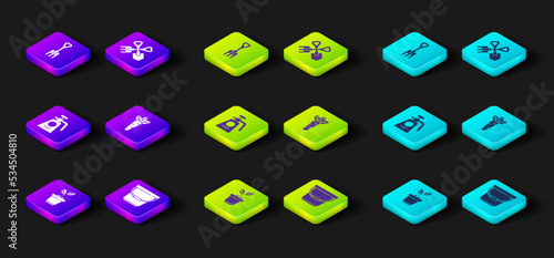 Set Plant in pot, Bucket, Garden sprayer for fertilizer, Carrot, Shovel and rake and icon. Vector
