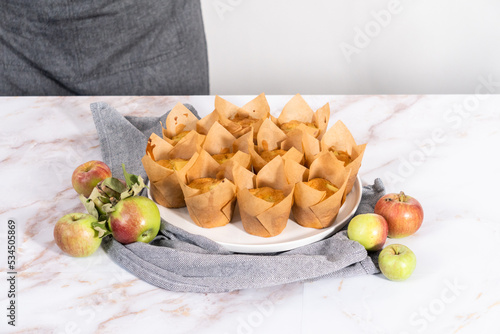 Apple sharlotka muffin photo