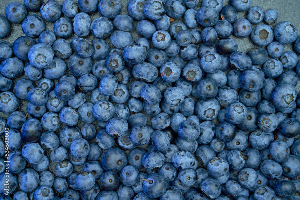 Vegan mock-up background. Fresh blueberry flat lay. Blueberries ready to eat snack concept. Vegan mock-up background. Fresh blueberry flat lay. Blueberries ready to eat snack concept.
