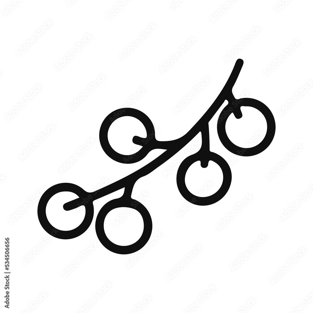 A branch of rowan. Linear vector image. A branch of rowan. Linear vector image.