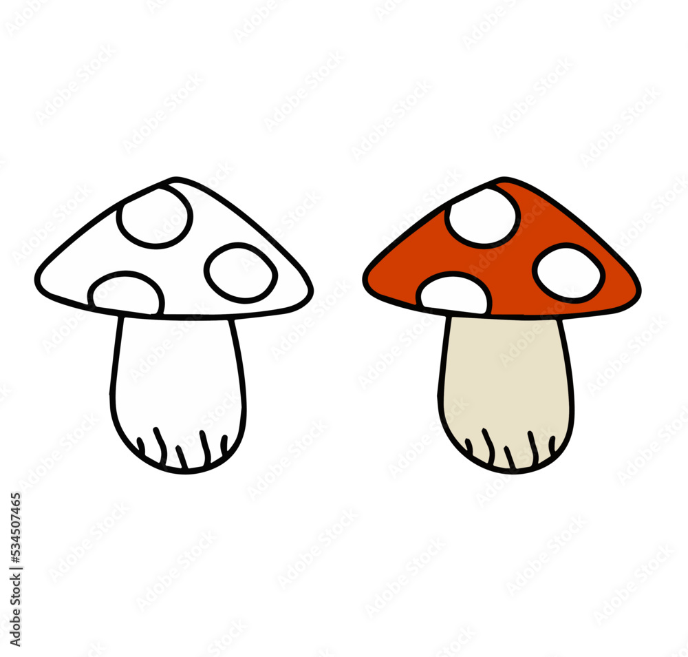 Poisonous mushroom. Fly agaric with red cap. Poisonous mushroom. Fly agaric with red cap.