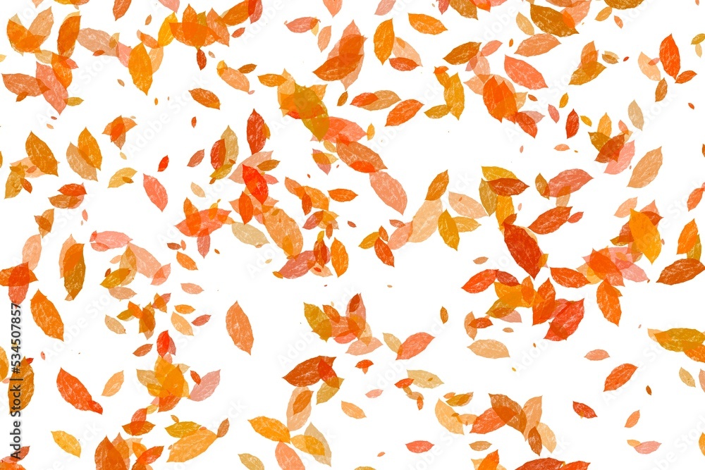 Autumn leaves falling  isolated white background
