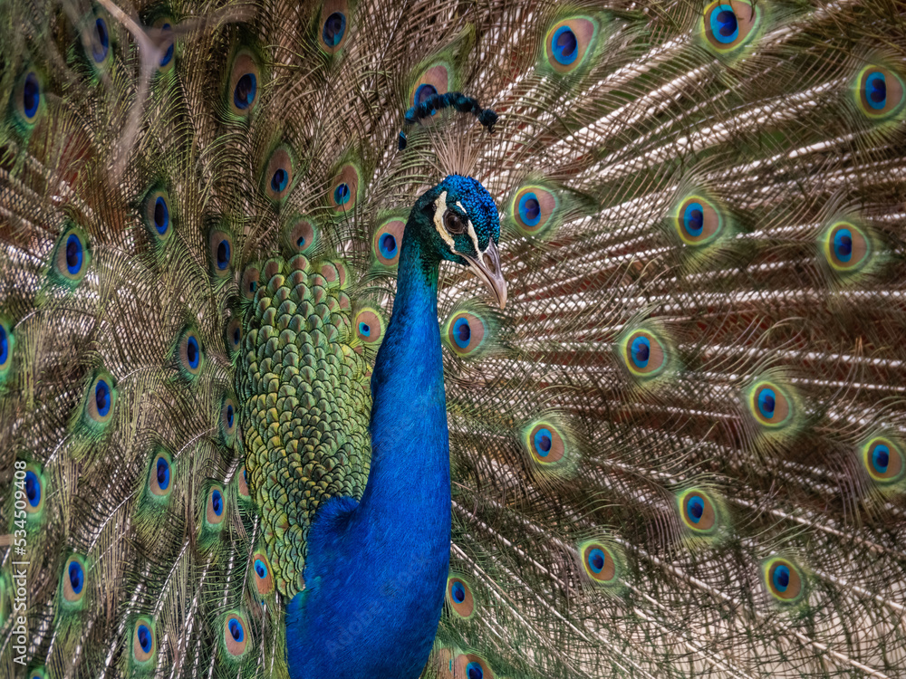 Naklejka premium Views around the Caribbean Island of Curacao 