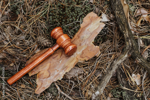 Φωτογραφία Judge's gavel on a tree in the bark, concept of forest law and nature protection