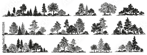Trees sketch set. Hand drawn graphic forest. Composition of different trees, shrubs and grass isolated on white background. Vector illustration
