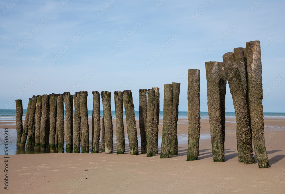 wooden poles on a french beach