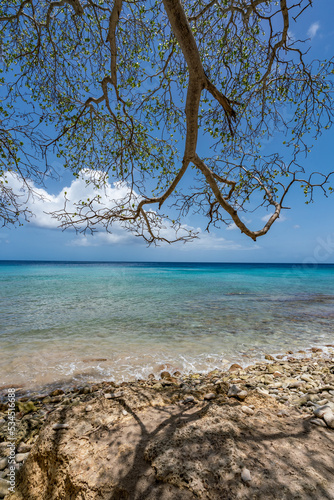Fototapeta Naklejka Na Ścianę i Meble -   Views around the Caribbean Island of Curacao 