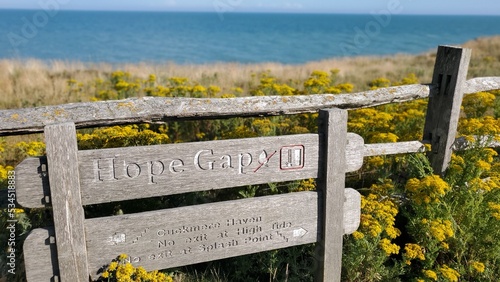 fence on a beach