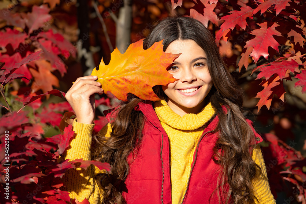Autumn teen child portrait. cheerful child standing at seasonal beautiful autumn leaves
