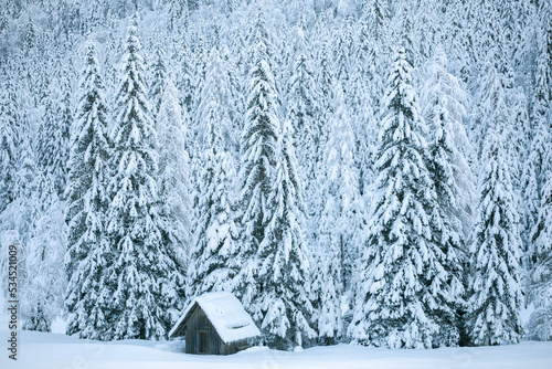 Winter landscape in Kranjska Gora, Slovenia © Nino Pavisic