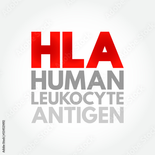 HLA Human Leukocyte Antigen - complex of genes on chromosome 6 in humans which encode cell-surface proteins, acronym text concept background