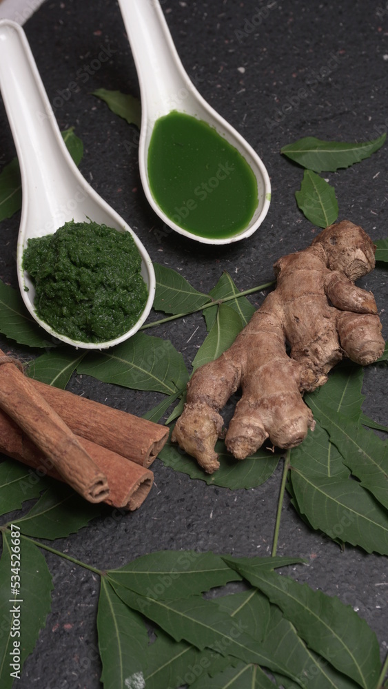 Neem leaves used as ayurvedic medicine with ground neem paste and juice Used in skin care, beauty products and creams. Neem leaves used as ayurvedic medicine with ground neem paste and juice Used in skin care, beauty products and creams.