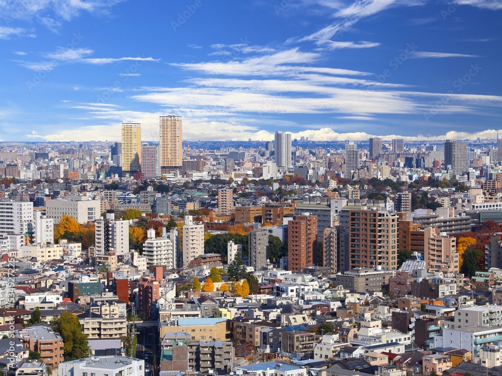 Big city Tokyo, Japan