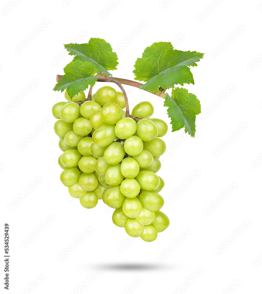 Fresh green grape isolated on white background Fresh green grape isolated on white background