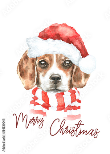Watercolor Christmas dog breed beagle illustration, cute dog head hipster portrait, dog in santa,elf hat, card design new Year,Noel print, poster, flyer, frame art greeting card © Catherine