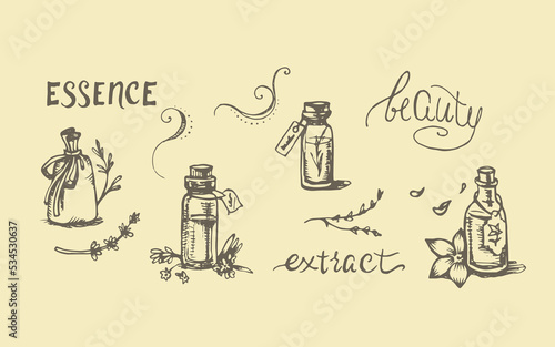 Set of Hand Drawn Decorative Bottles with Essential Oils and Aromatherapy Elements and Lettering. Vector Illustration.