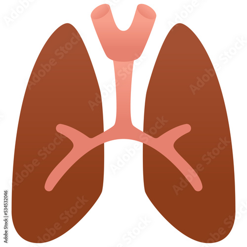 Lungs icon